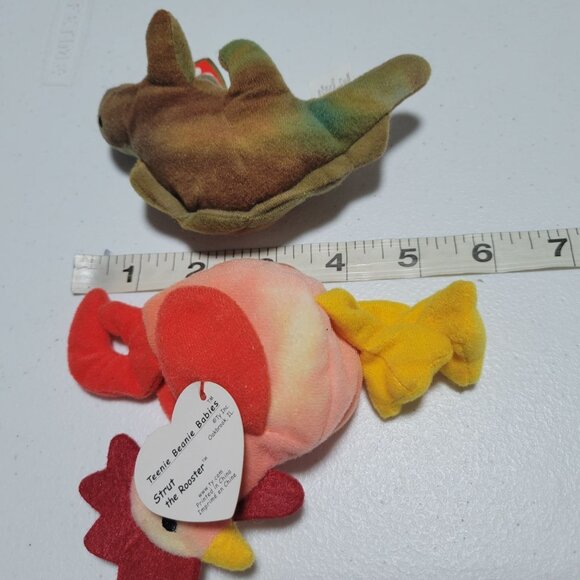 TY Teenie Beanie Babies Steg Strut Smoochy Nuts Plush Lot 4 Stuffed Animal Toys - Picture 7 of 8